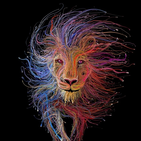 Meet your Posher, Gonzalo - Picture 2 of 6